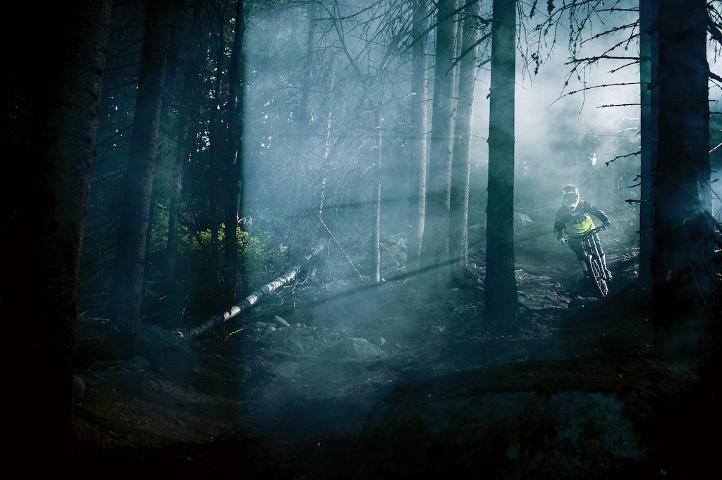 Emil racing down the trail in the foggy woods of #alltidsoligajärvsö