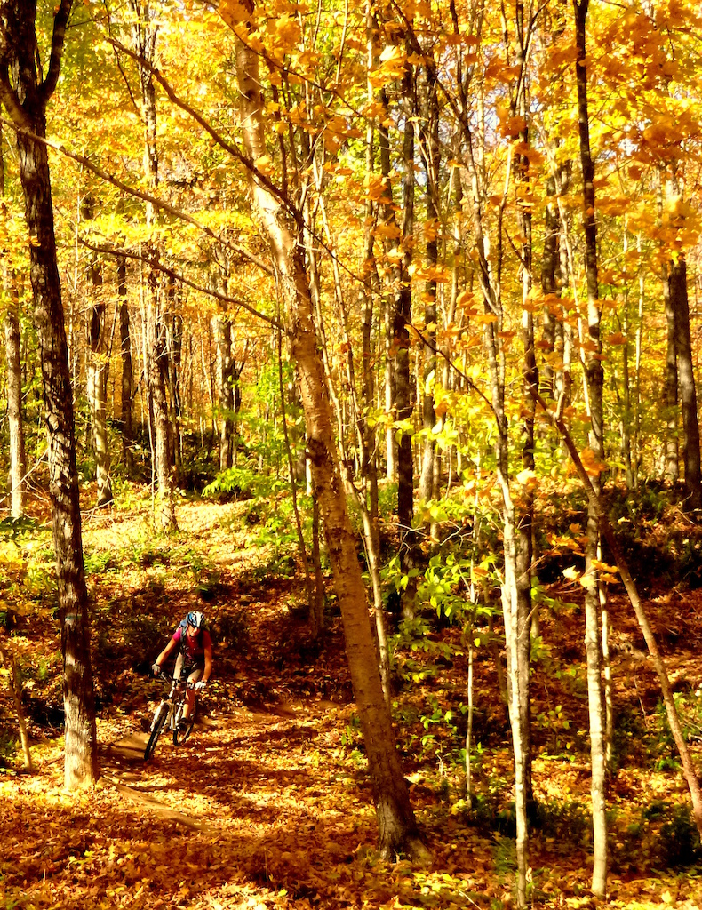 Fall colors on Vallée du Bras du Nord "Grande Évasion" trail