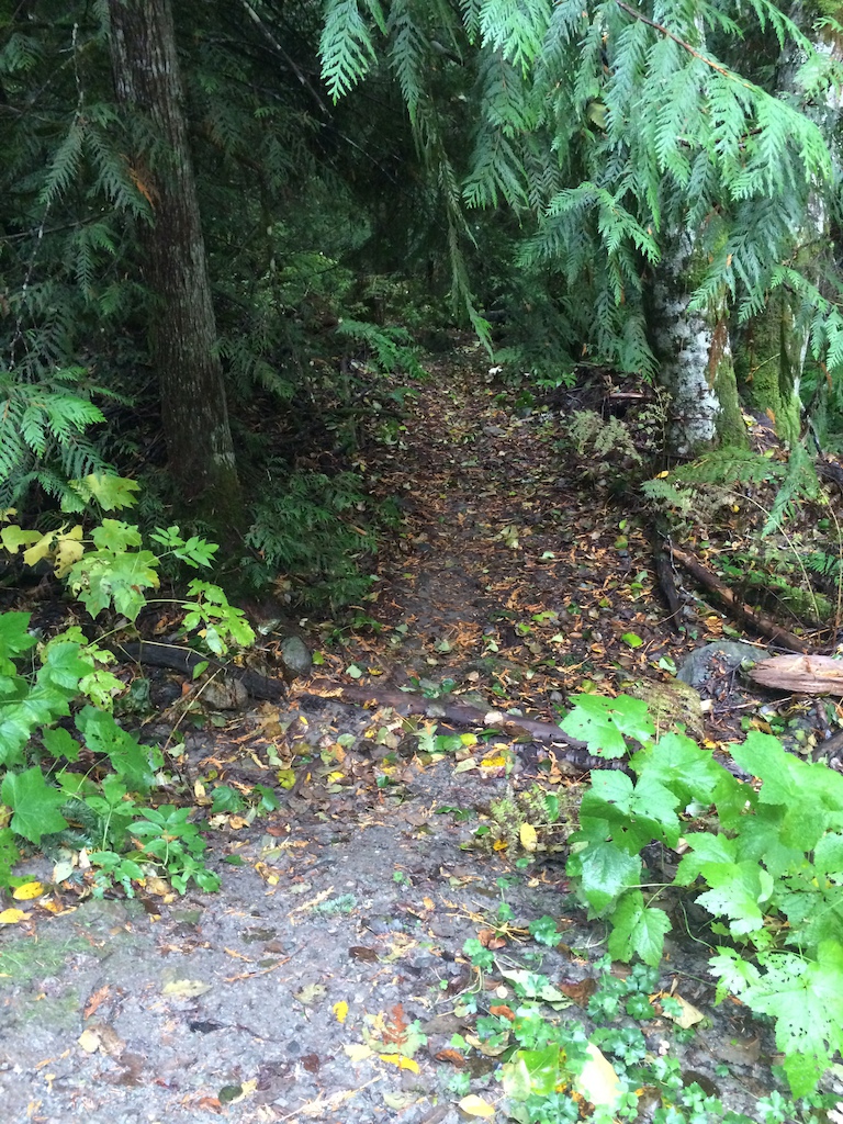 unknown trail entrance