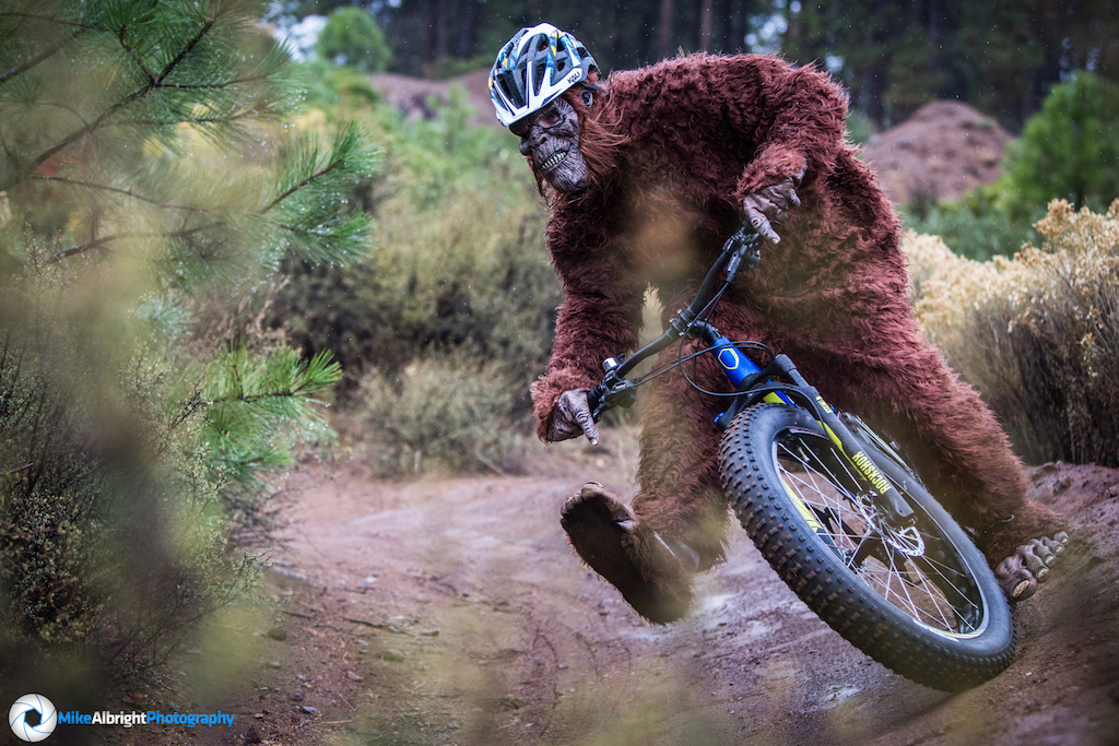 Sasquatch sighting at The Lair in Bend, Oregon!
Bendor, mascot of Bend Cyclery was spotted hitting the trails near town.