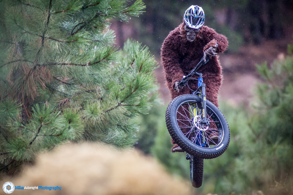 Bendor, mascot of Bend Cyclery was spotted hitting the trails near town.