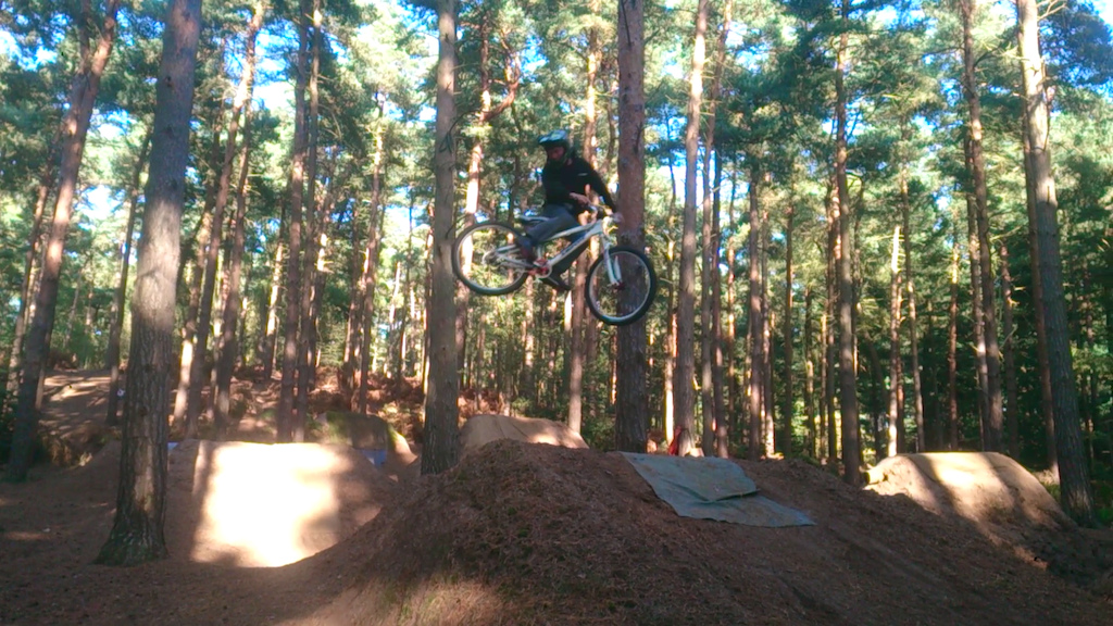 Trails whip
