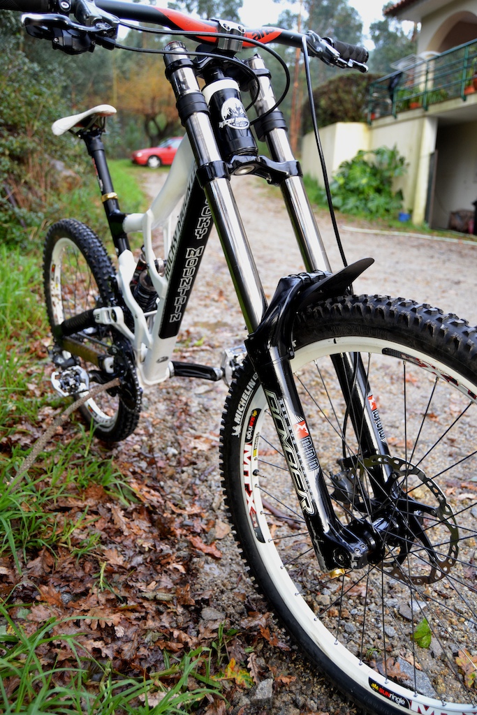 2010 Rocky Mountain Flatline WC