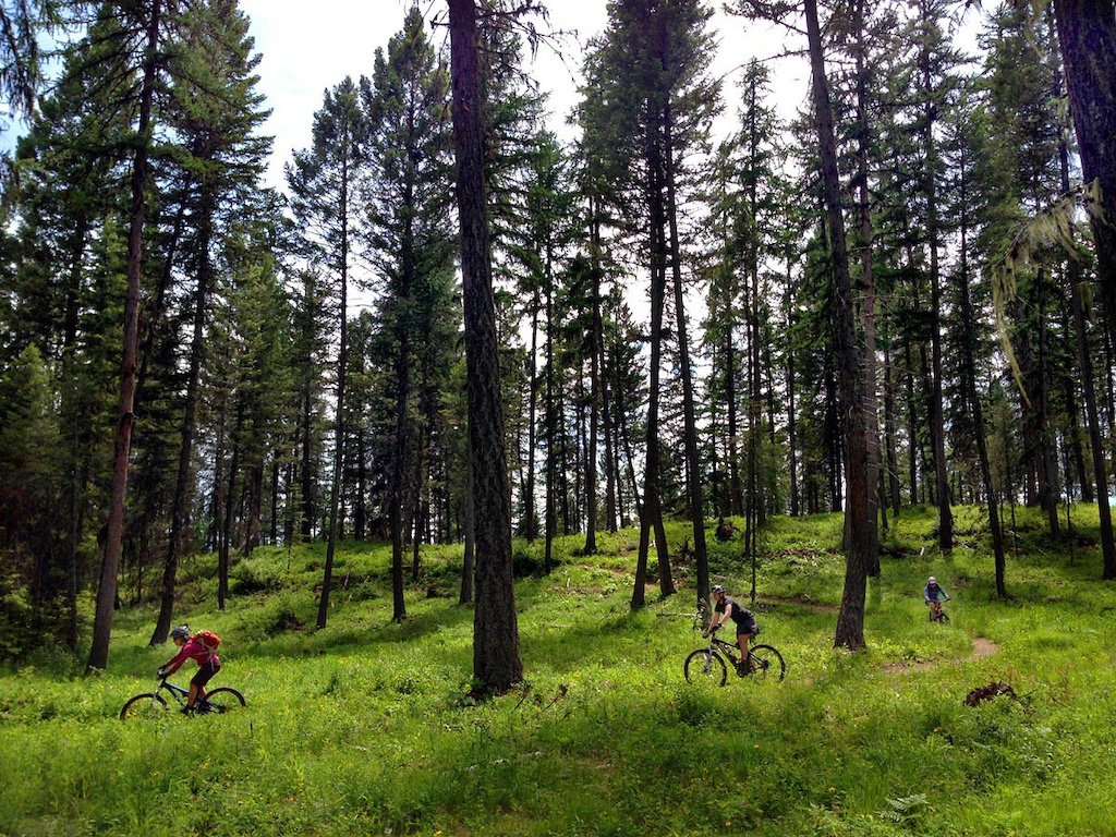 Riders On The Whitefish Trail At Whitefish Bike Retreat Connector Trail