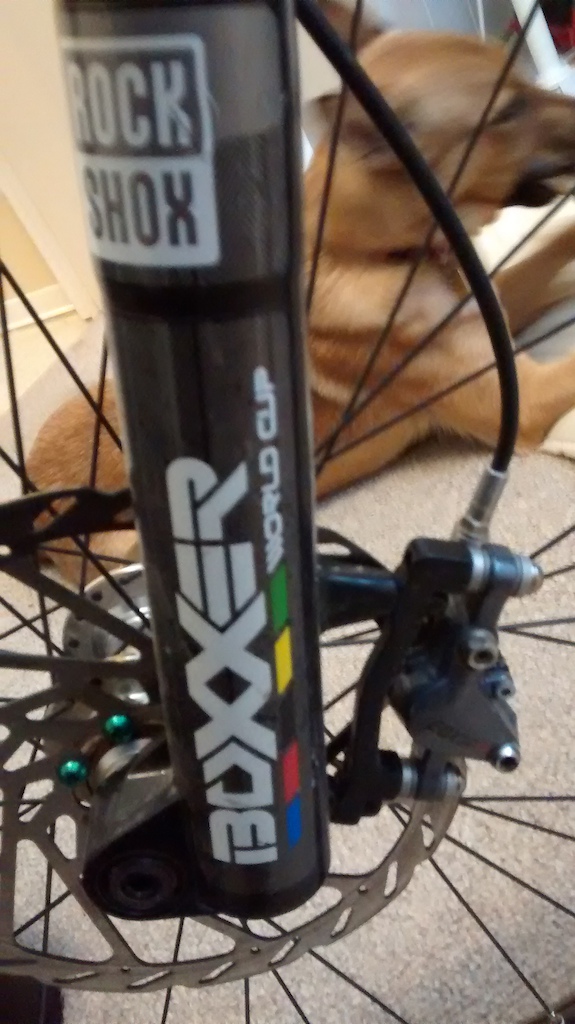2006 Devinci Olle Large Custom