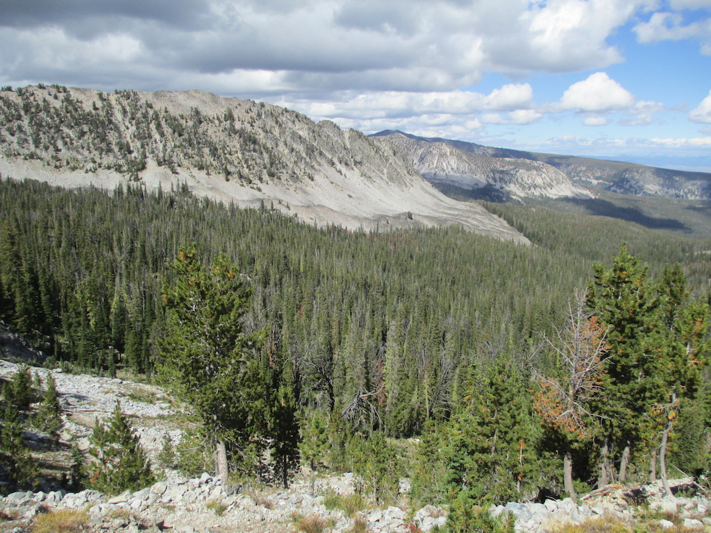View looking north along the trail from the pass between Slag A Melt Creek and Big Lake Creek.