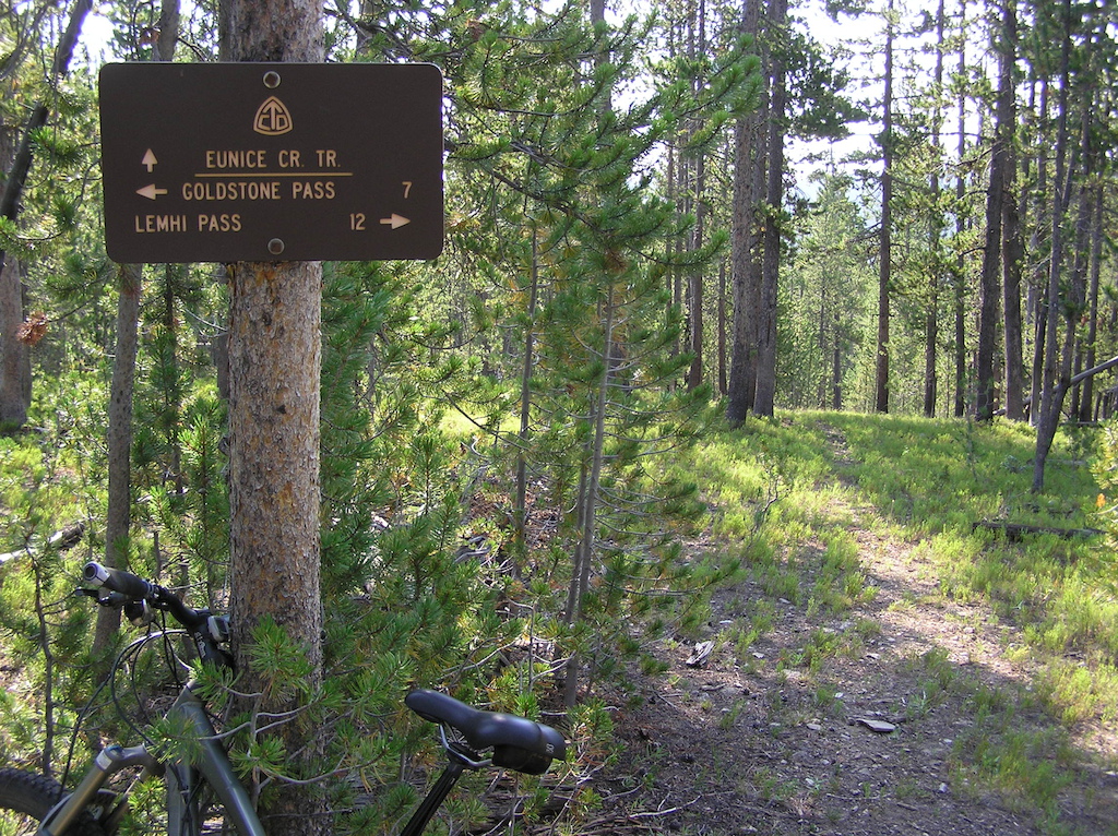 Junction of Eunice Creek Trail #157 and the Continental Divide Trail.