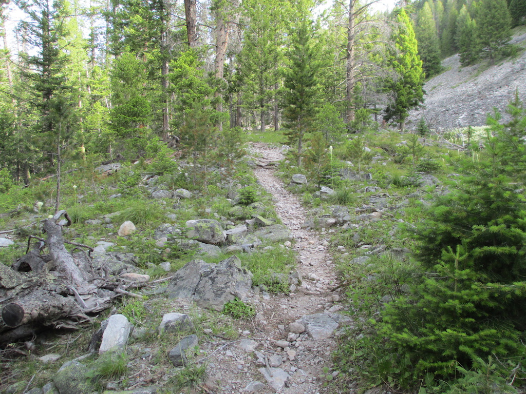 Ditch Creek trail near lower end.