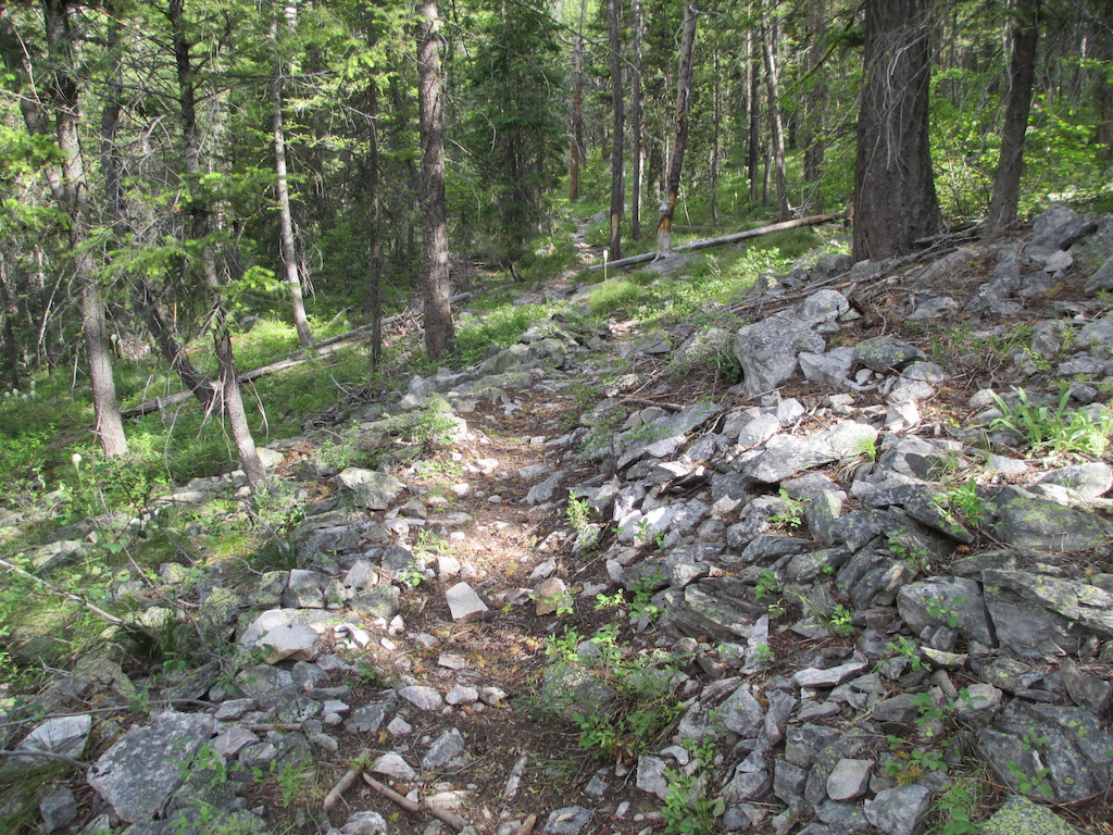 More trail chunk.