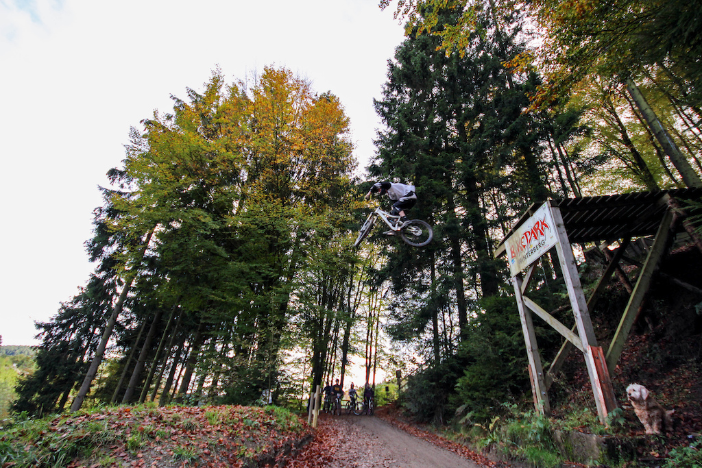 Riding the trails in winterberg on autumn days
photo: Marcella Boer