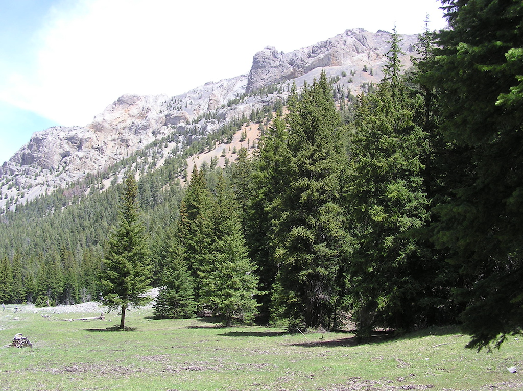 Trail goes through a big meadow.