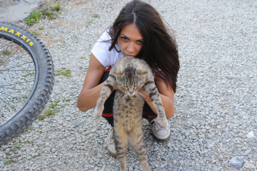 sweet kitty
