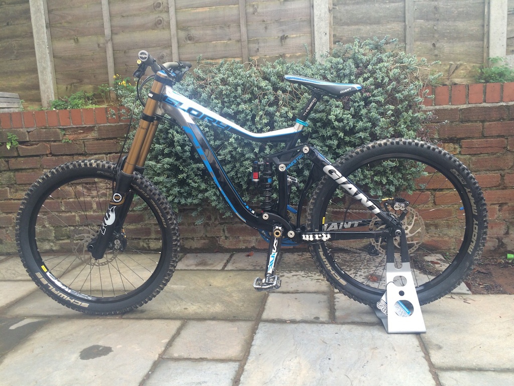 2013 Giant Glory 0