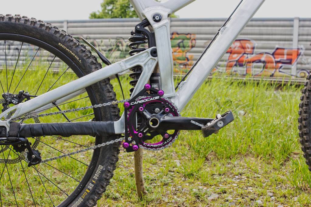 2015 German Downhill Bike Propain Rage