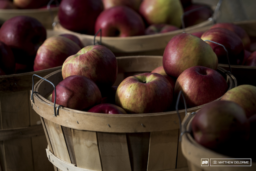 Bushels of apples were brought in to supply the feed stations.