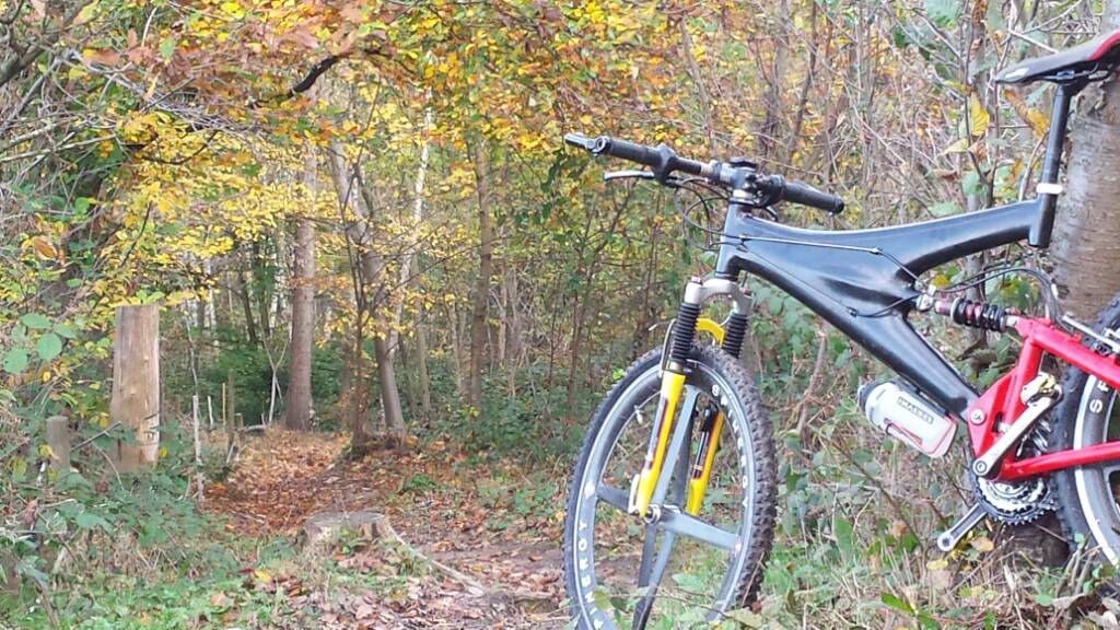 Ride my Trek Y33