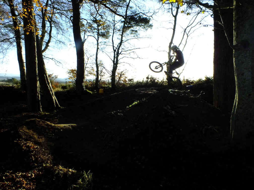 Autumn afternoon at some local trails. Photos by Ross Clark.