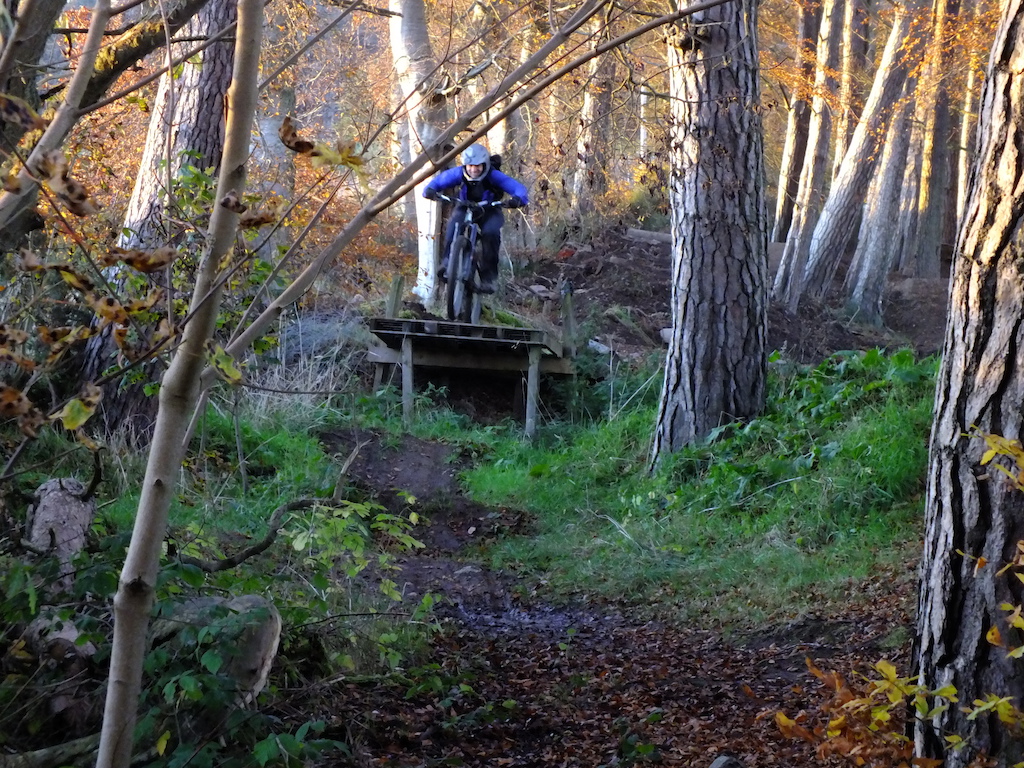 Autumn afternoon at some local trails. Photos by Ross Clark.