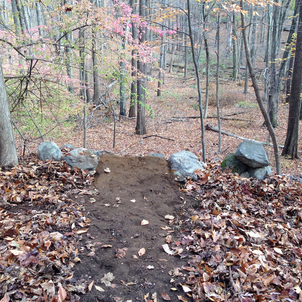 New trail in the works, step down