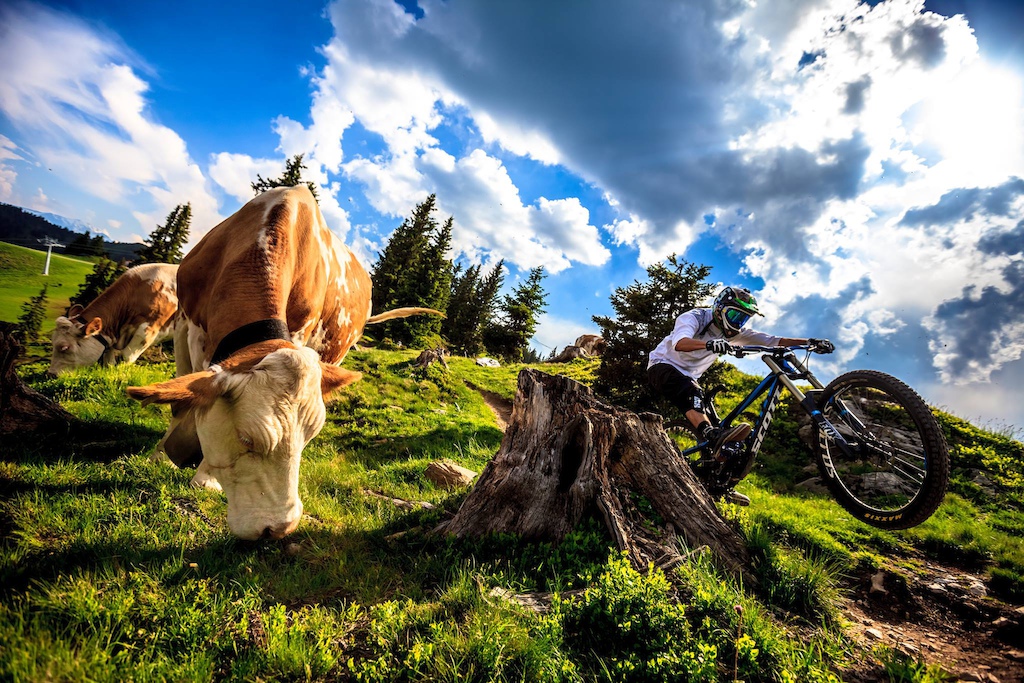 www.mozartt.com

Shredding the trails in Leogang. 
Photo by: Piotr Staron - www.staronphoto.com