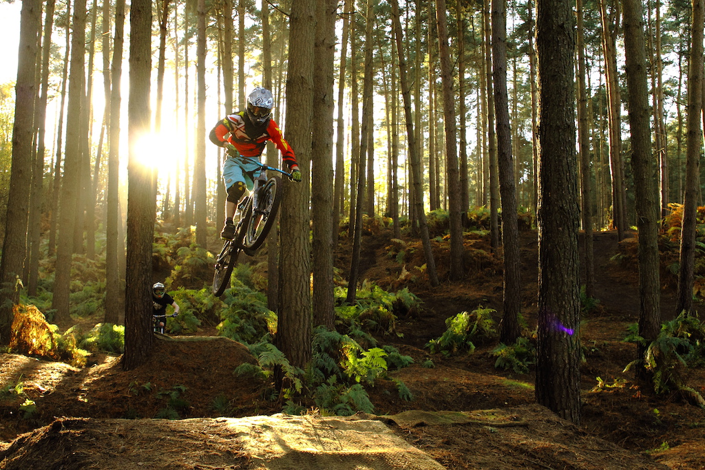 backlight