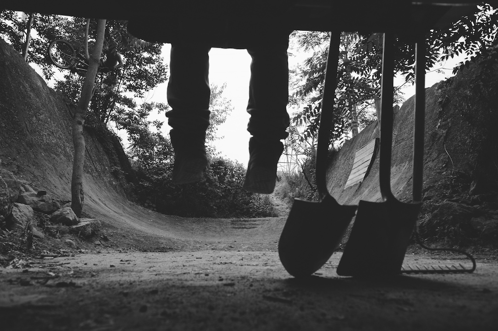 Adam Hauck