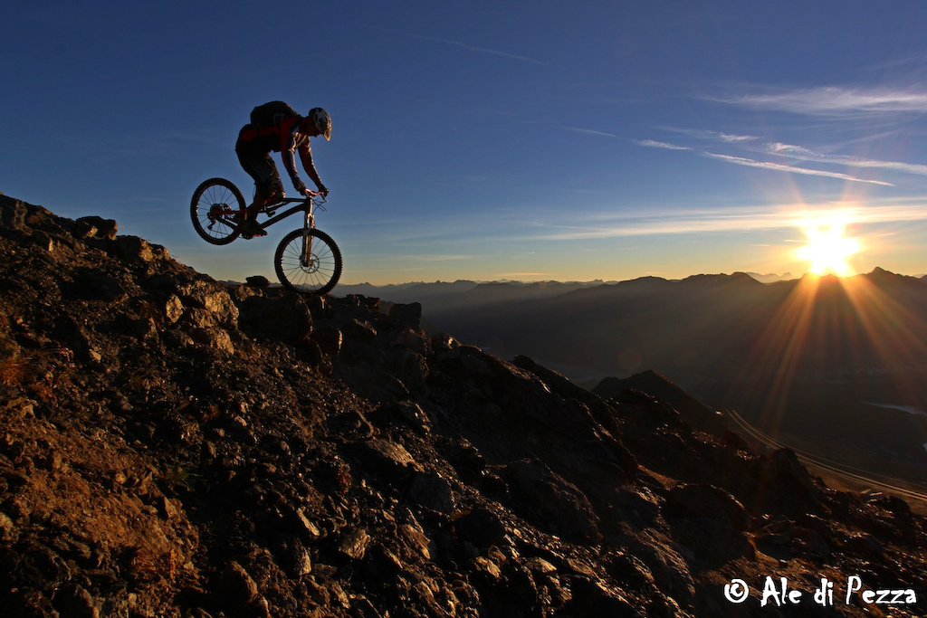 A nose press on the rising sun