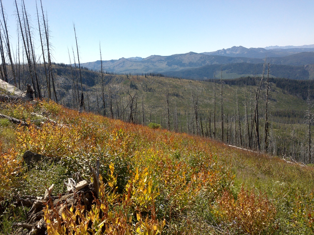 more scenery