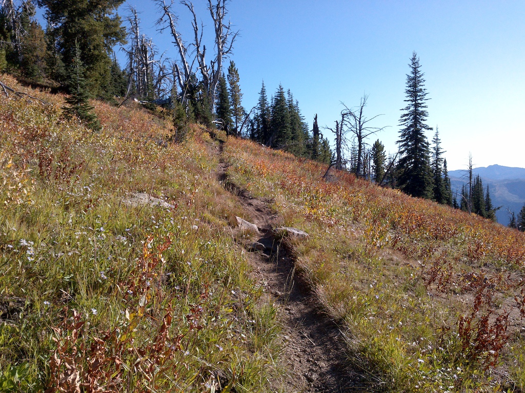 Rutted trail, not as bad as others.