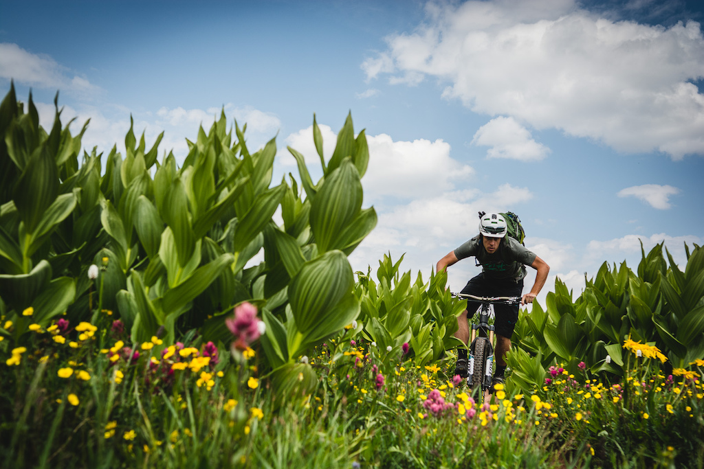 Not the scene you would normally expect to find at 11,000 feet above sea level, but a wet spell in early Summer combined some Colorado sunshine turned the high country into a forest of wild flowers.  Shot in Durango while scouting trails with Joey Schusler for the annual Yeti Tribe Gathering.