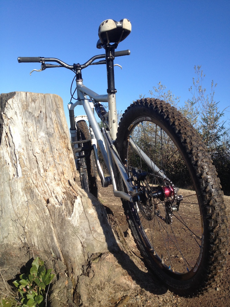 2007 Santa Cruz Blur