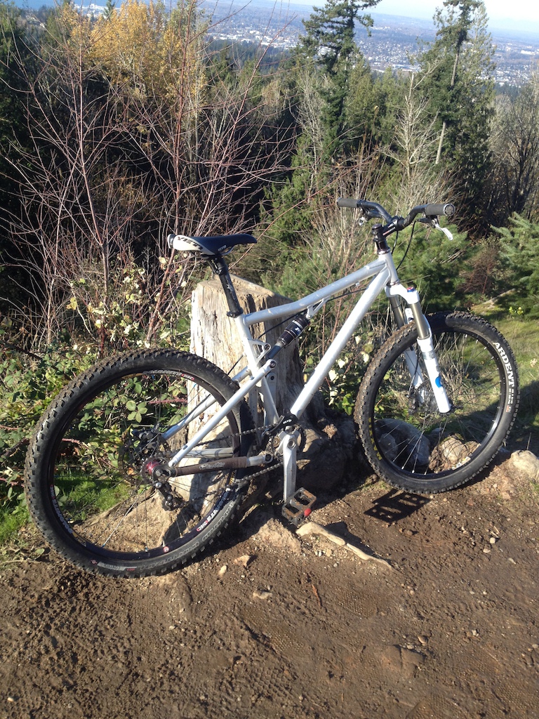 2007 Santa Cruz Blur