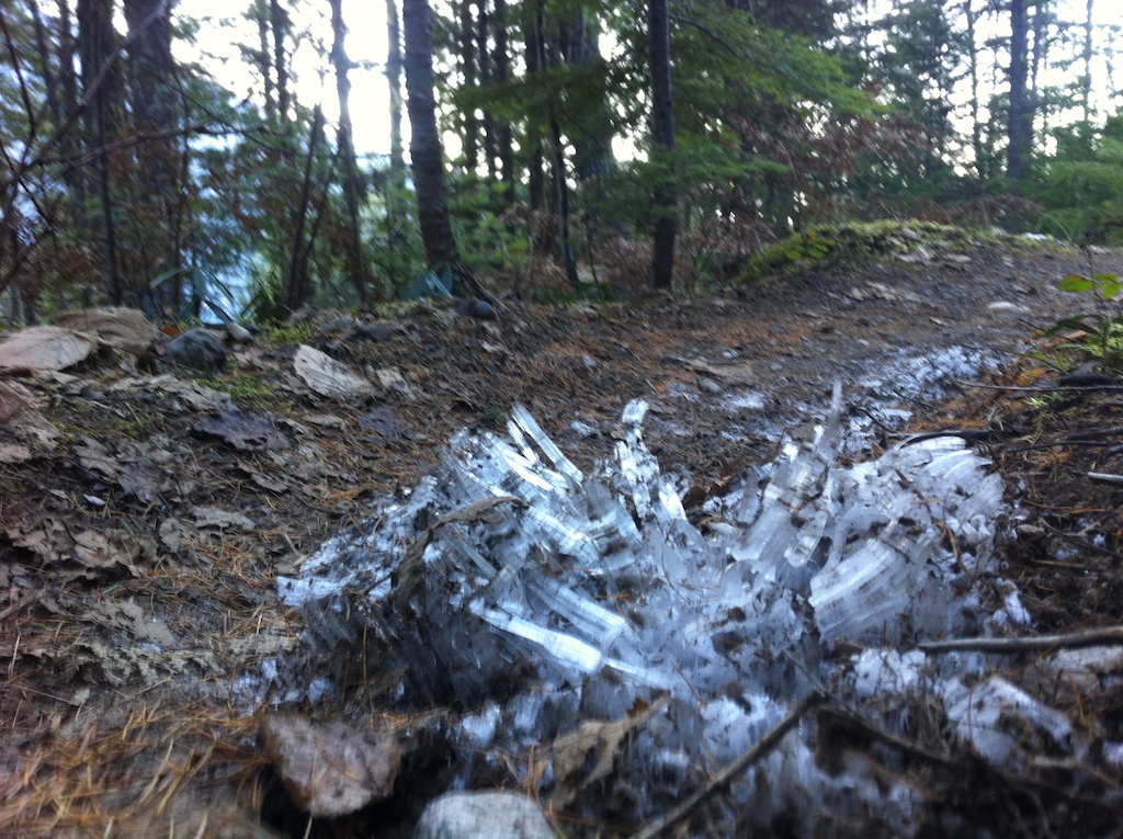 With the cold clear nights the trails have developed crazy frost. In places it was nearly a foot tall.