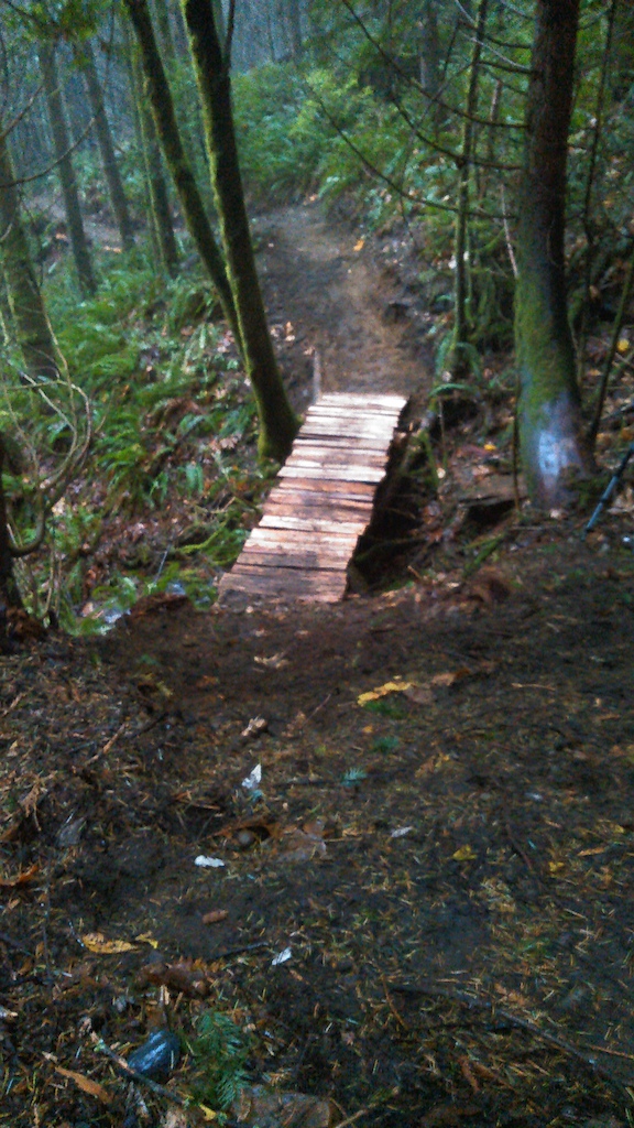 loose loam to bridge over creek, waterfall on your right