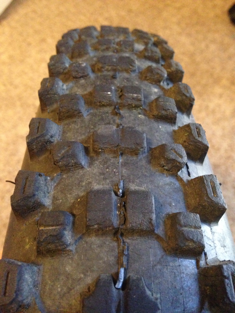 0 Maxxis Minion and Kenda Nevegal DH tires