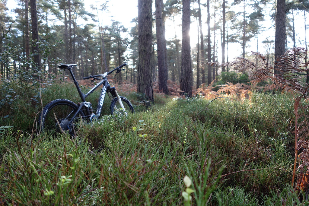 Giant Trance X Advanced SL0 - out in the woods on a cold but sunny day in November