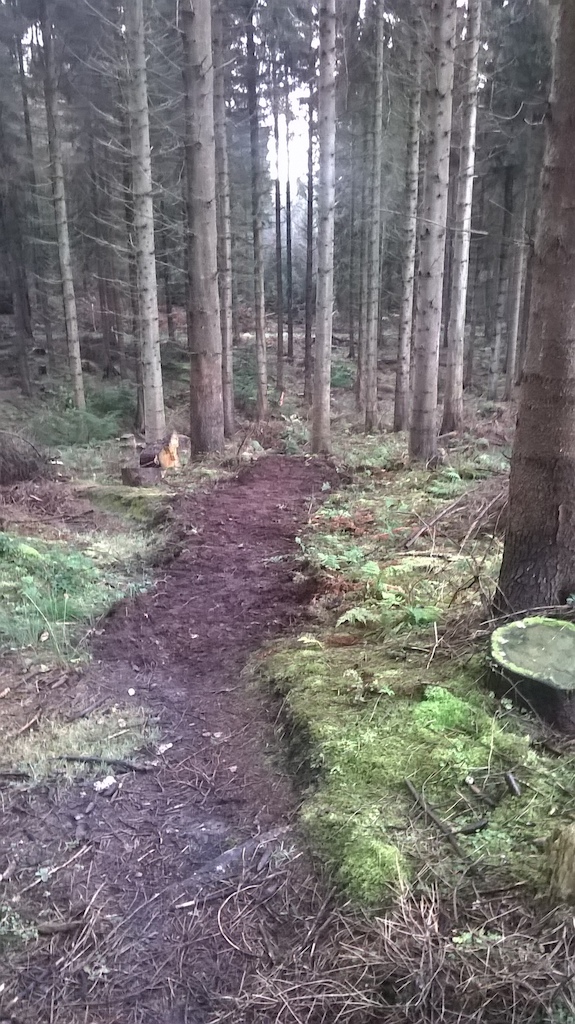 redigging trails where the old "dual run" used to be