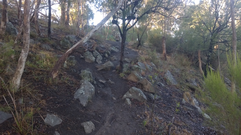 A tricky little climb around this stunted tree on "Rockin' Up Around The Tree" trail.  Those rocks seem perfectly positioned to prevent your progress.