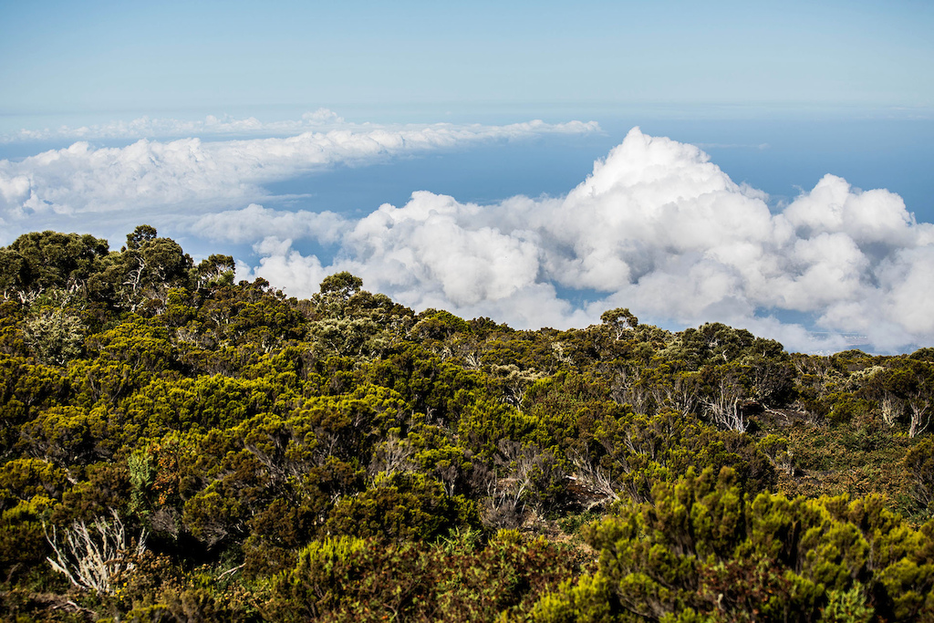 Views at Reunions Island