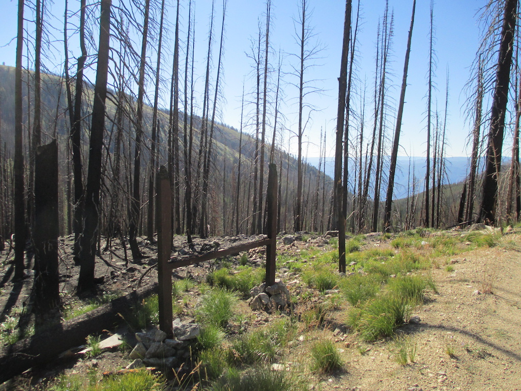 Stateline Trailhead at Spring Creek Road 038. The sign burned in the fire of 2012.