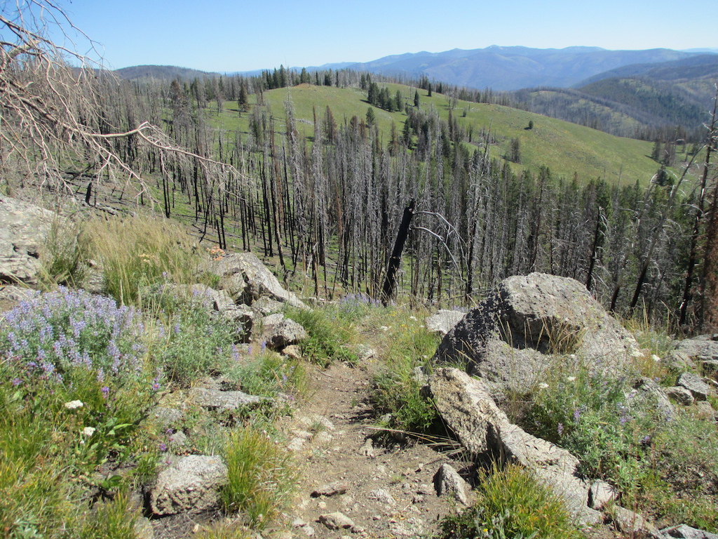 Trail goes along the ridgetop.