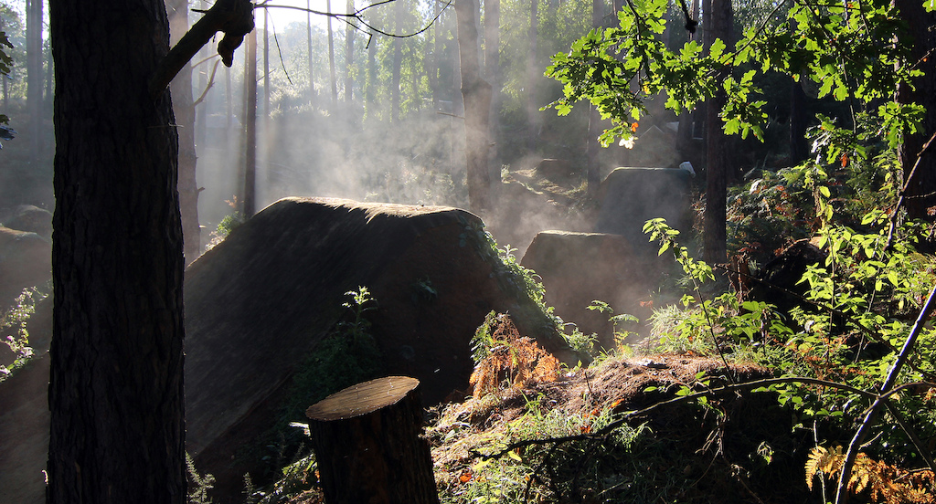 Steaming morning, the steamiest I had ever seen. Sometimes it's worth getting up early.