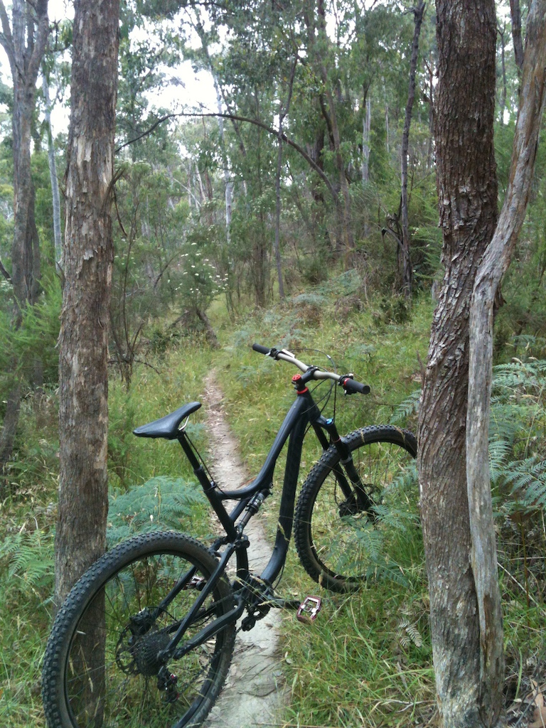 Quick Photo while riding the Link Track in Smiths Gully.