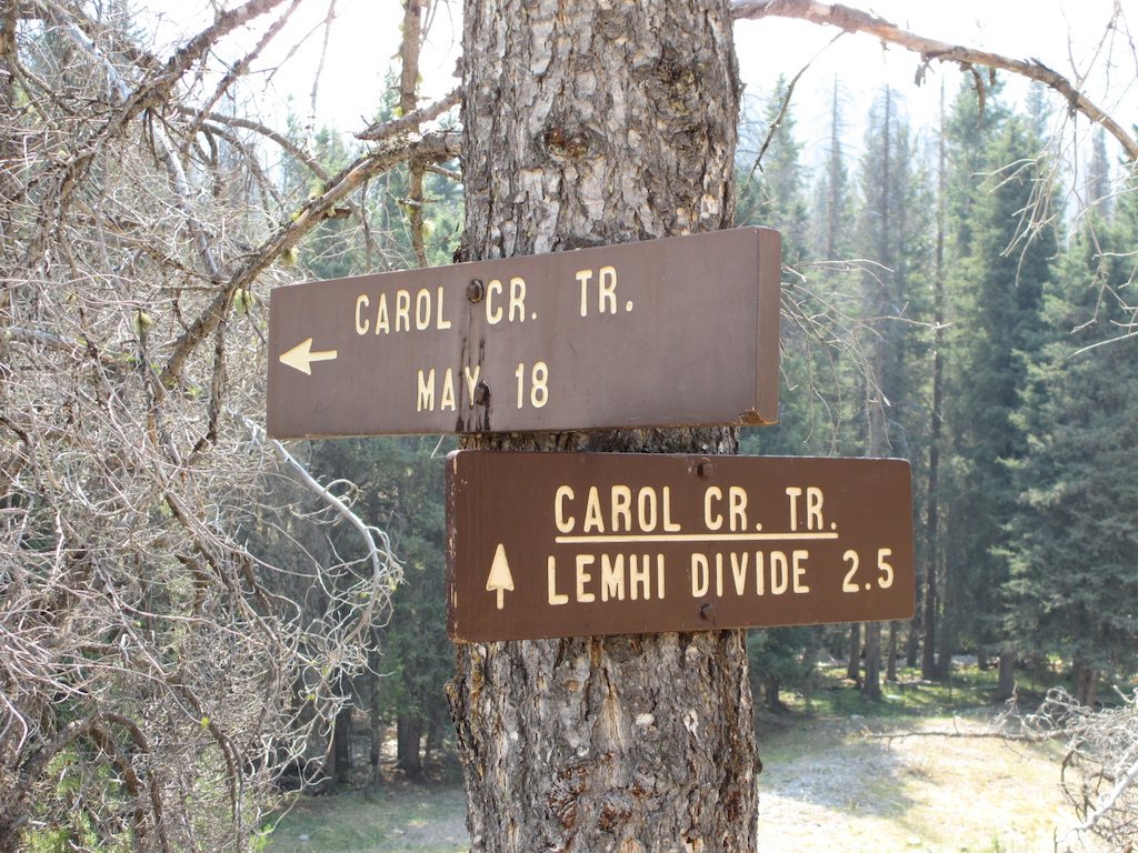 Trail signs in Hayden Creek at start of Carol Creek Trail.