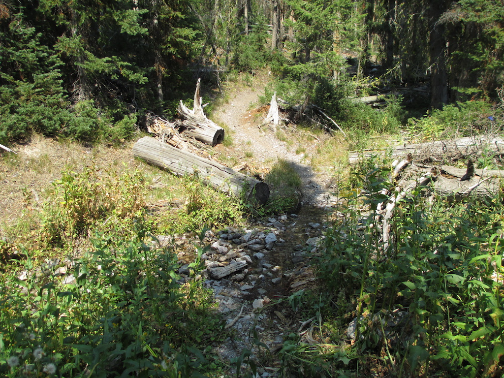 Trail crosses a fork of Morse Creek in the upper reaches.