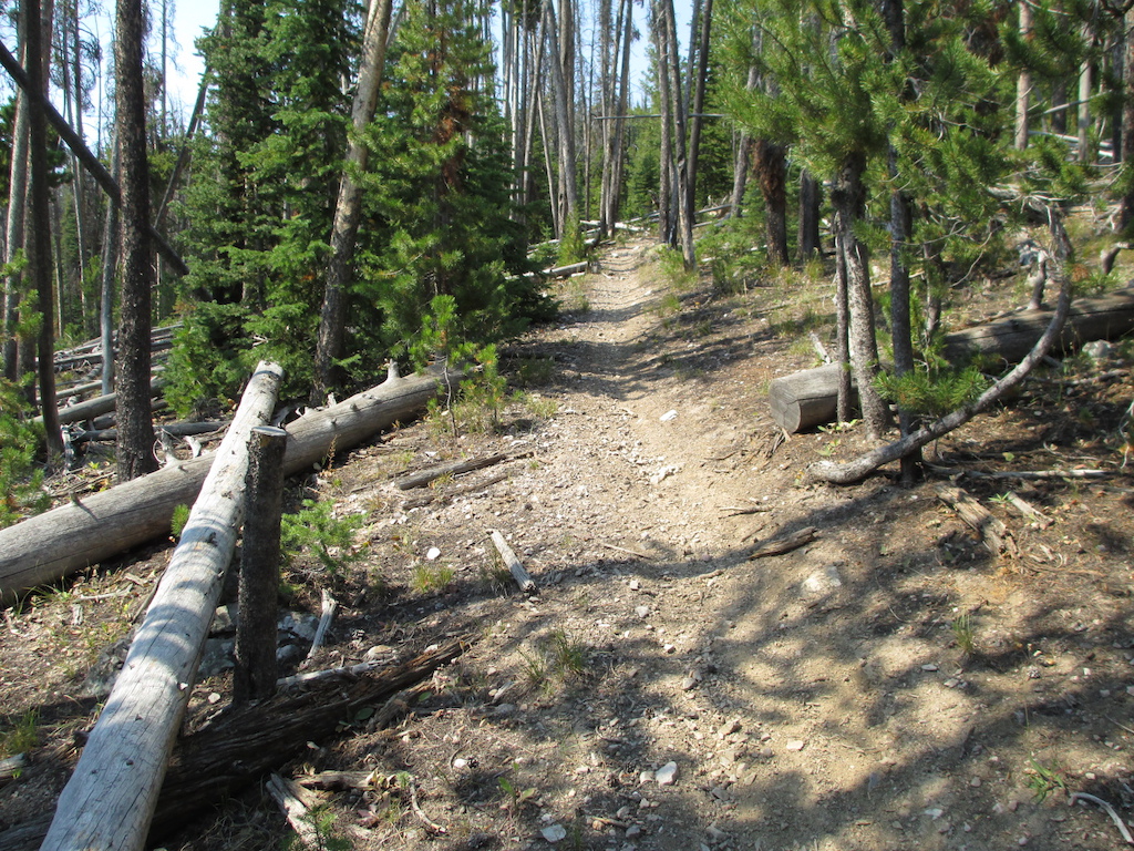 Trail on the west side of the Lemhi Divide, near the top.