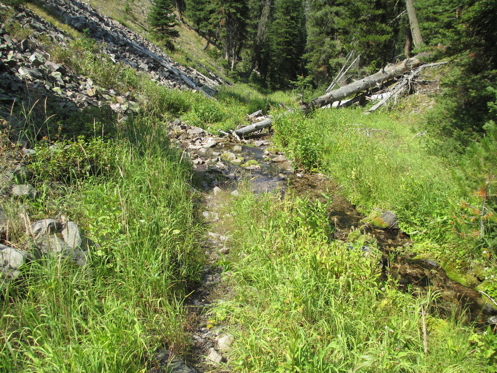 Trail and creek in the upper section.