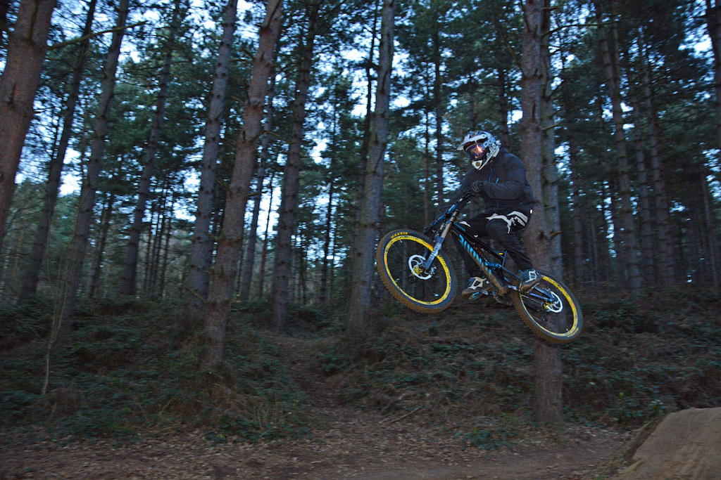 Pre-Xmas session in the park.