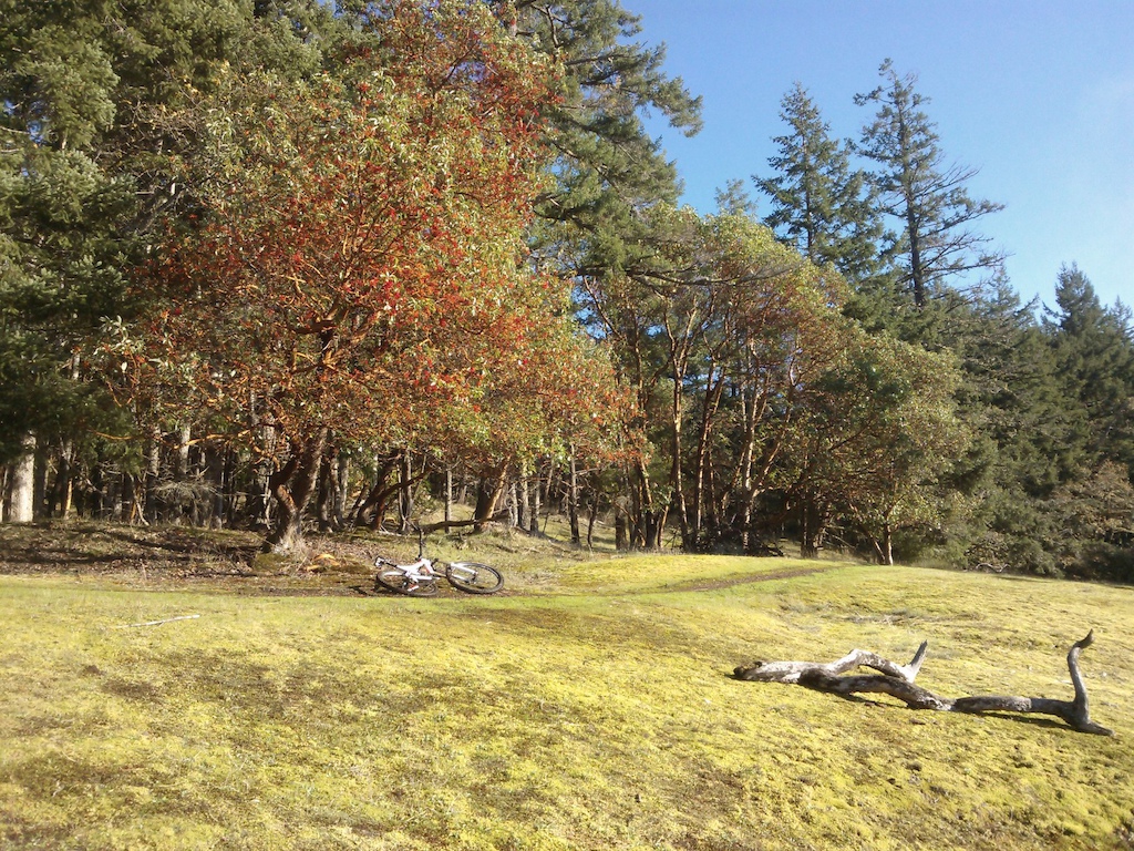 Channel Ridge Autumn