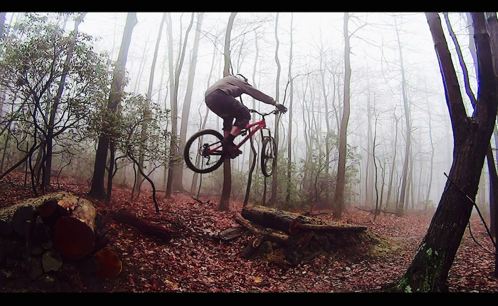 Foggy day